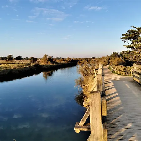 Les Agapanthes D Elisabeth - Piscine Saint-Jean-dʼOrbetiers