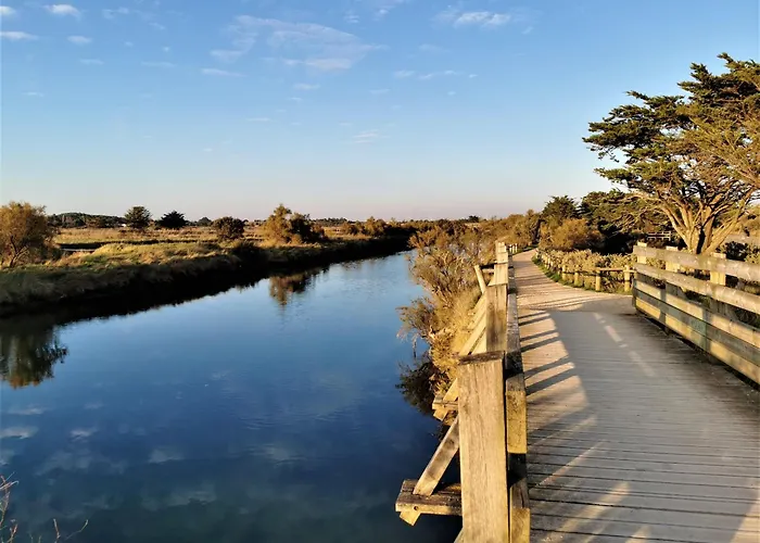 Les Agapanthes D Elisabeth - Piscine Saint-Jean-dʼOrbetiers